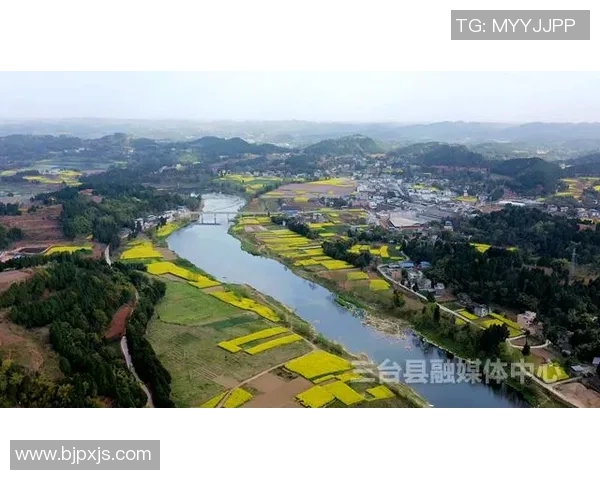 三台县全力支持云南足球比赛直播助力地方体育发展与文化交流