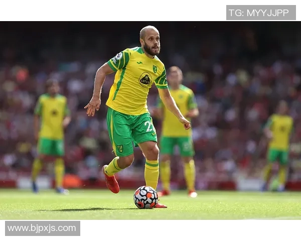 诺维奇与利物浦精彩对决直播全程回顾与分析