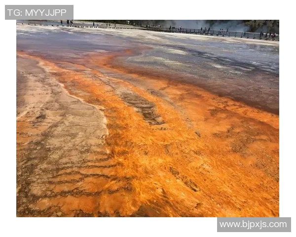 探索海角户外的无限魅力与自然之美，开启你的冒险之旅